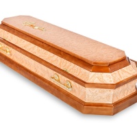 ВОСЬМИГРАННИК КОРЕНЬ